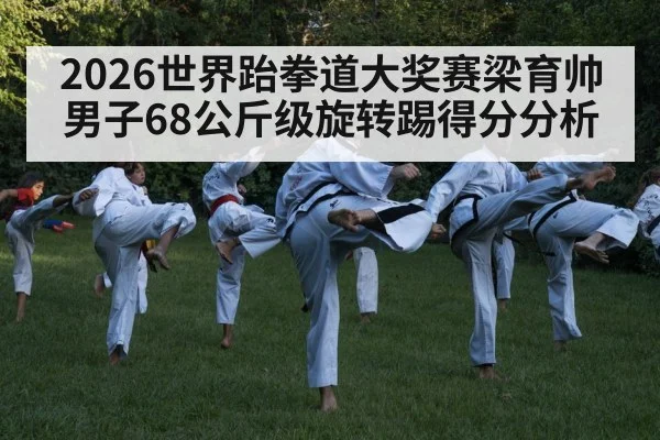 taekwondo spinning kick